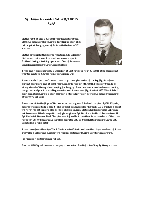 A preview of a PDF biography for Calder, James Alexander
